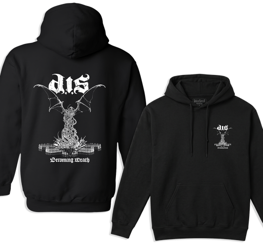 Destroyed In Seconds (D.I.S.) - Pullover Hoodie