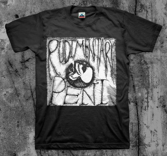 Rudimentary Peni